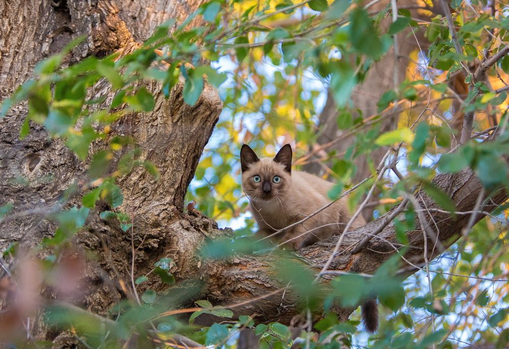 Photograph by Марина Ватанская