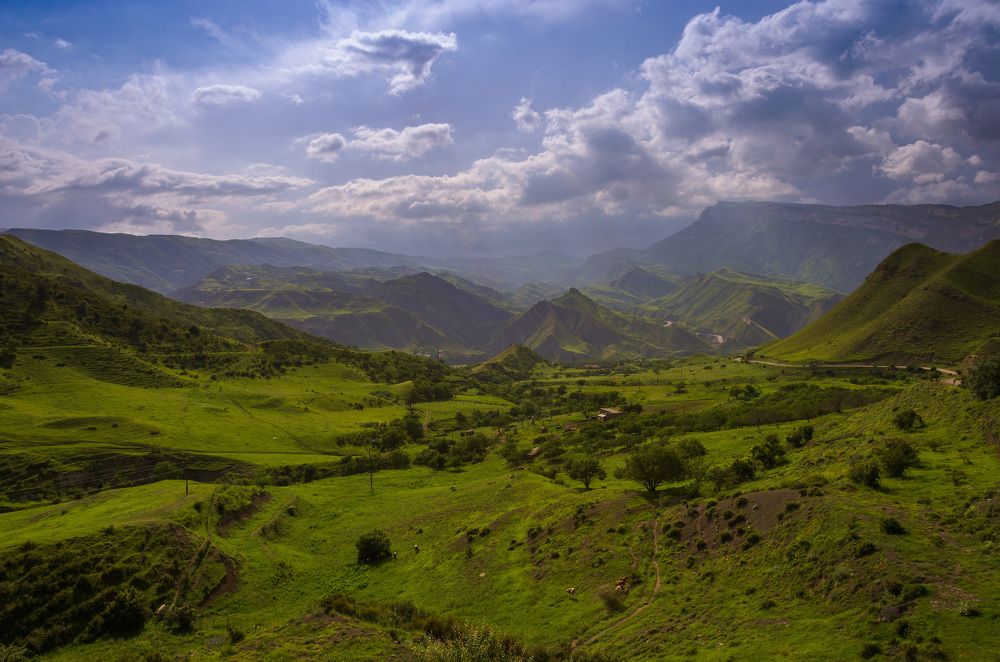 Photograph by Ольга Мукина