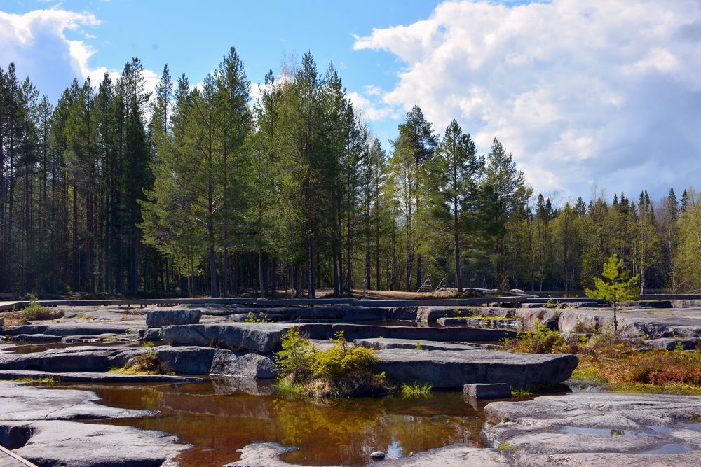 Фотография автора Рудый Юрий