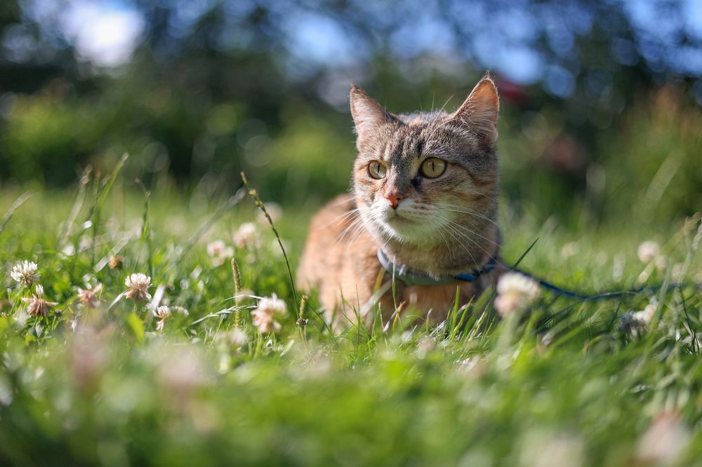 Photograph by Герман Корнеев