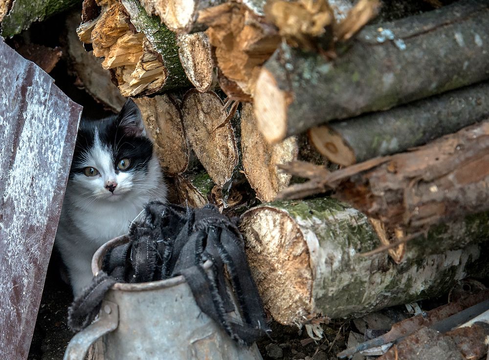 Мир полон тайн