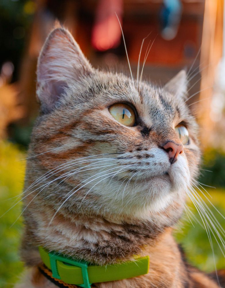 Photograph by Герман Корнеев