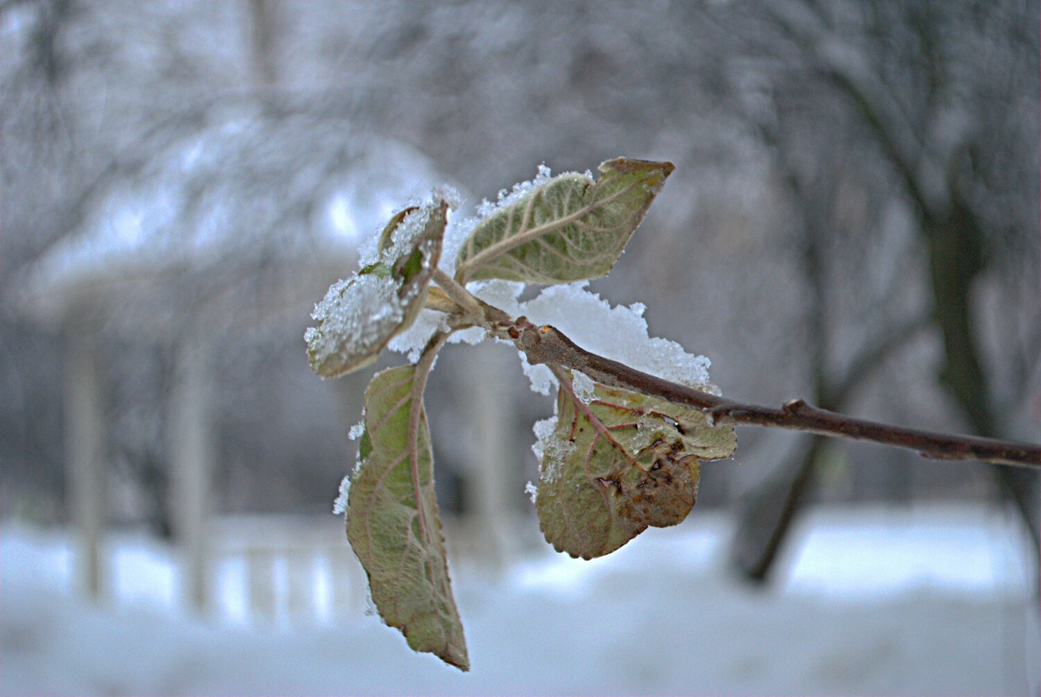 Photo #8669253