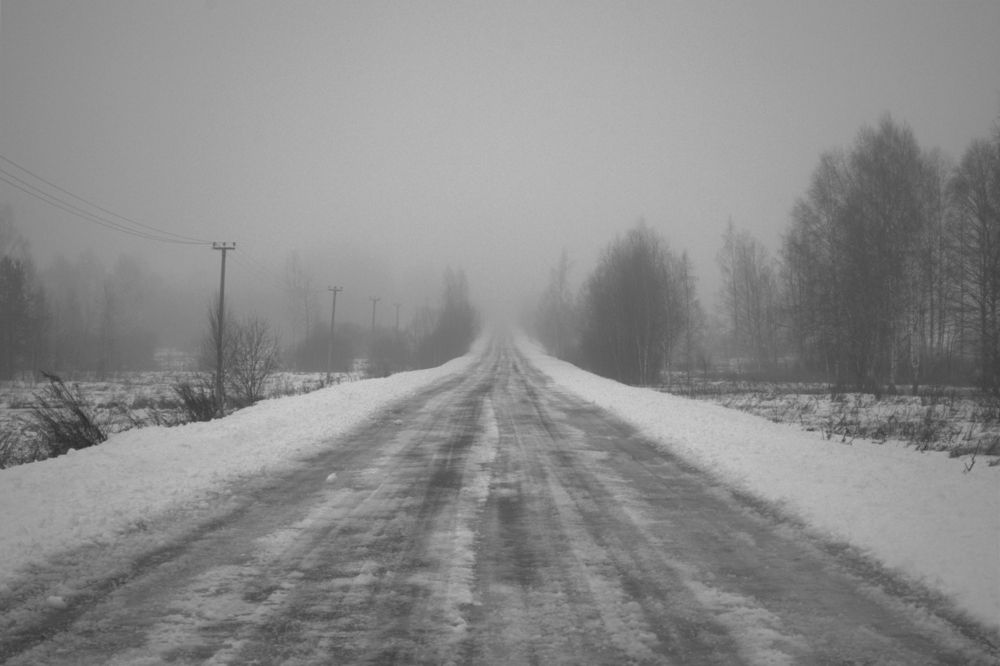 Photograph by Венера Раджабовна