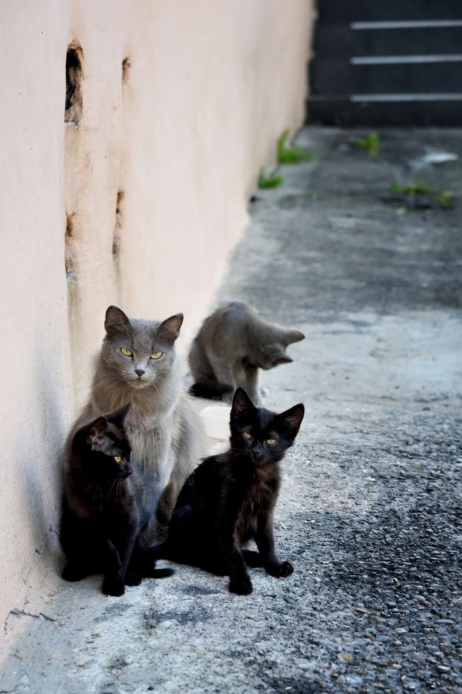 Photograph by Оксана Астрова