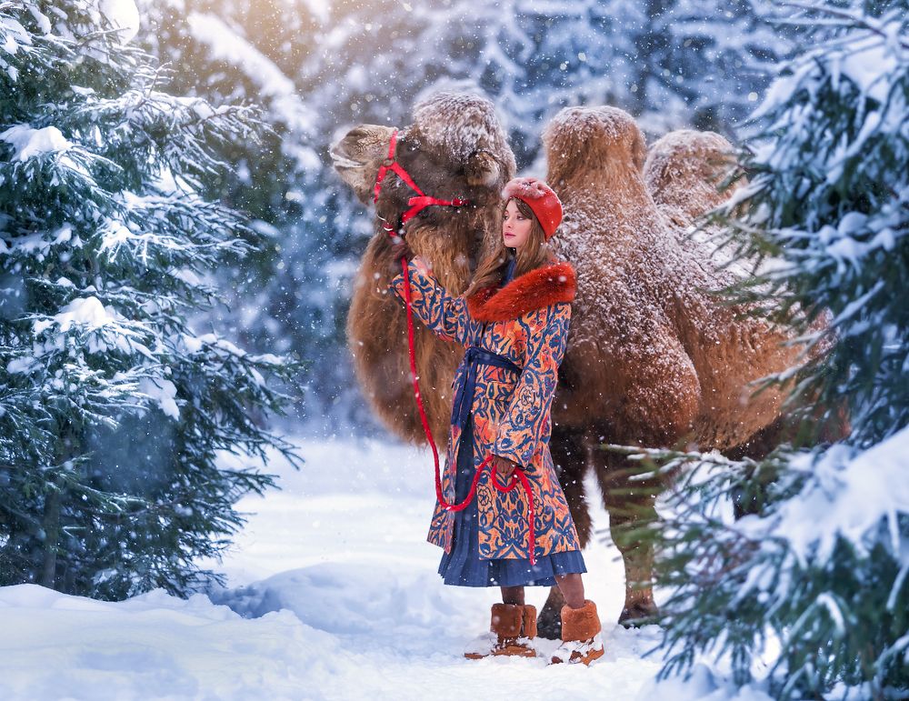 Фотография автора Yulia  Maximova