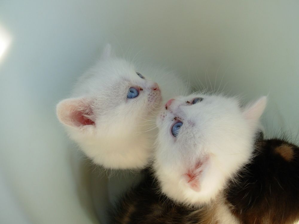 Photograph by Екатерина Хозяшева