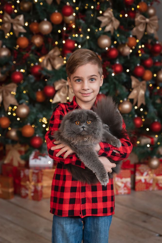 Фотография автора Светлана Никола