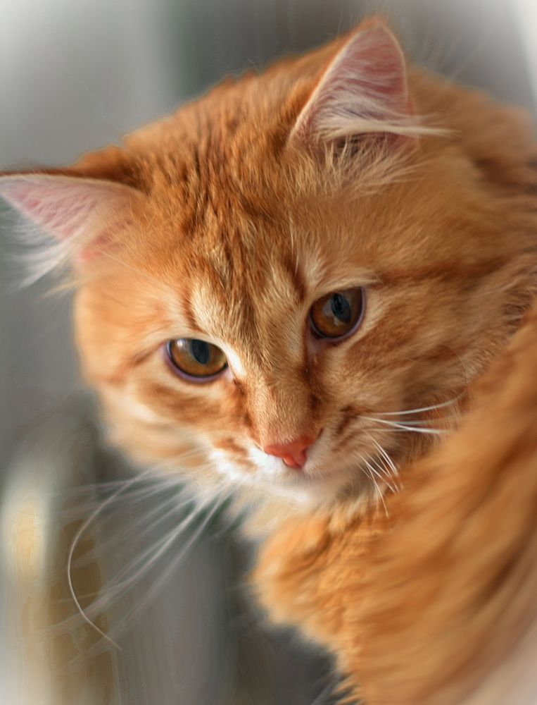 Photograph by Юрий Митенёв