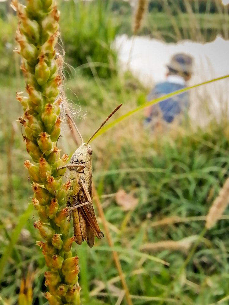 Photograph by Ксения Незговорова