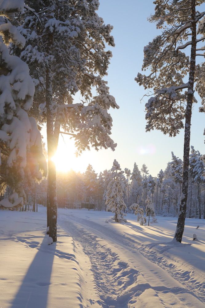 Photograph by Марина Ноговицына