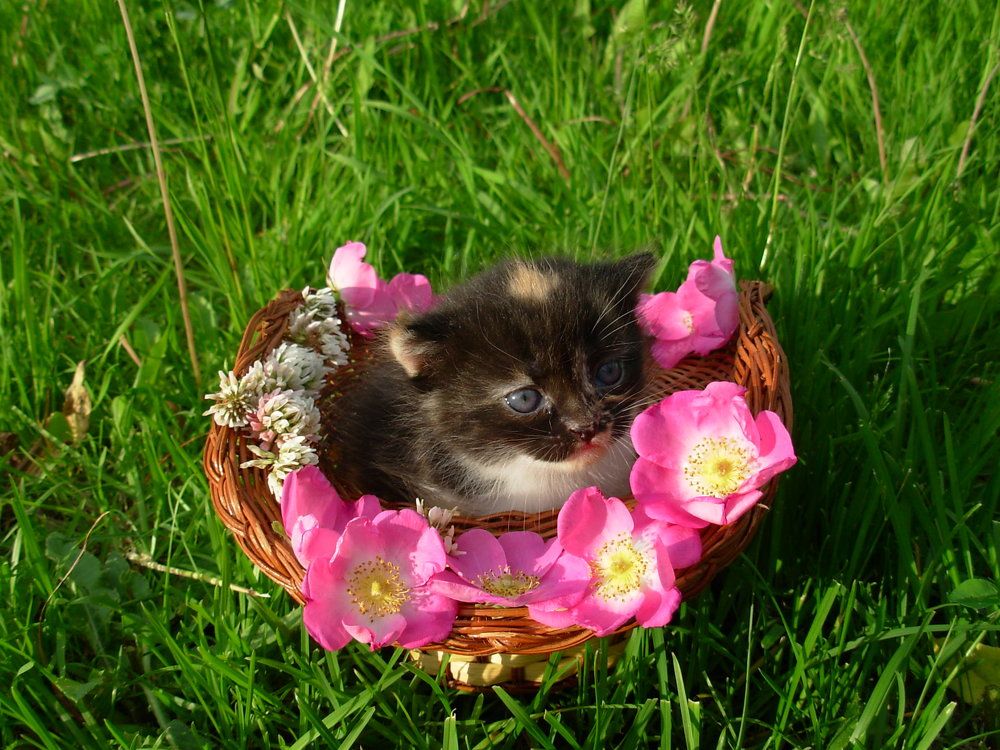 Photograph by Екатерина Хозяшева