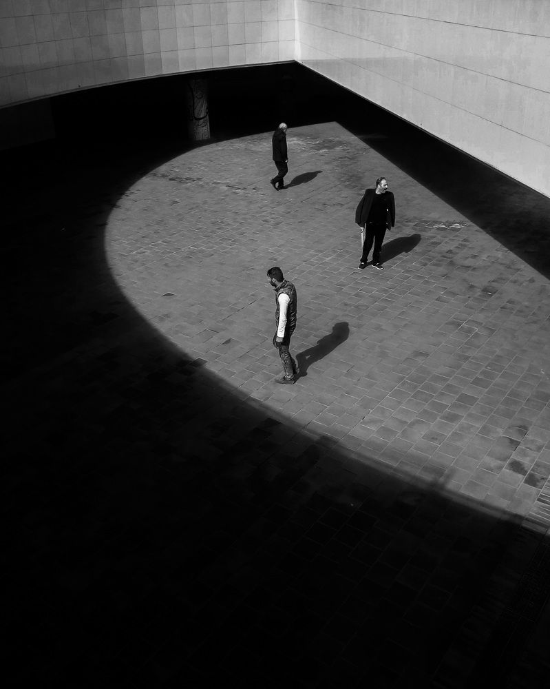 Photograph by farshid ashkar