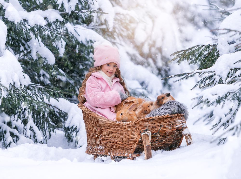 Фотография автора Yulia  Maximova