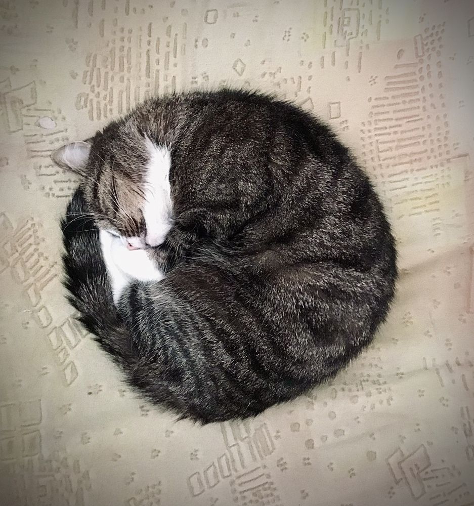 Photograph by Ольга Сафронова