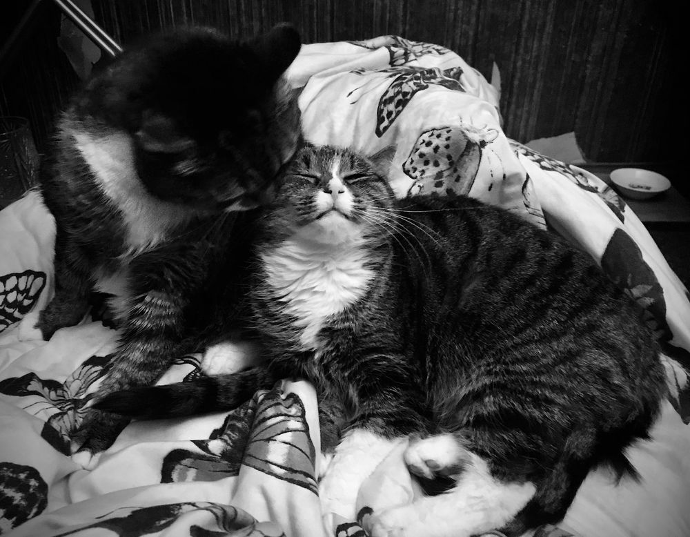 Photograph by Ольга Сафронова