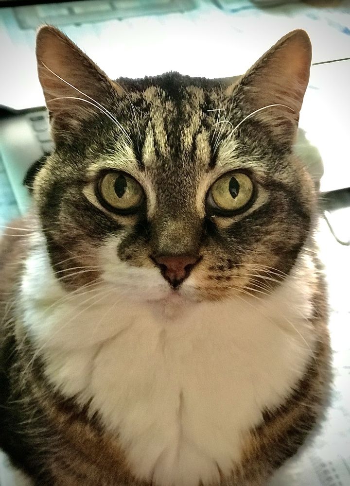 Photograph by Ольга Сафронова