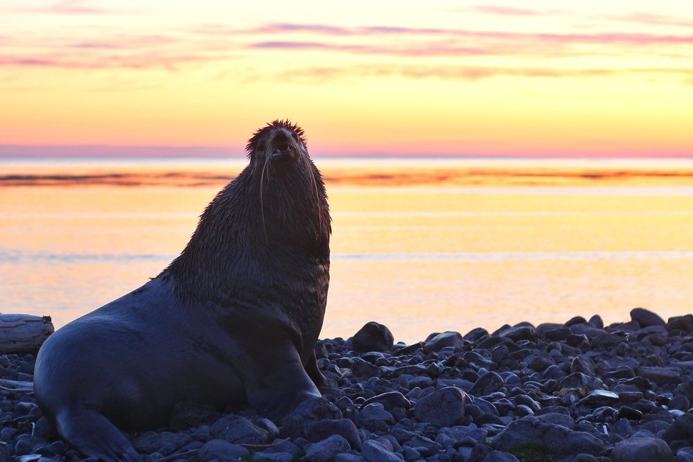 Я - красивее заката!