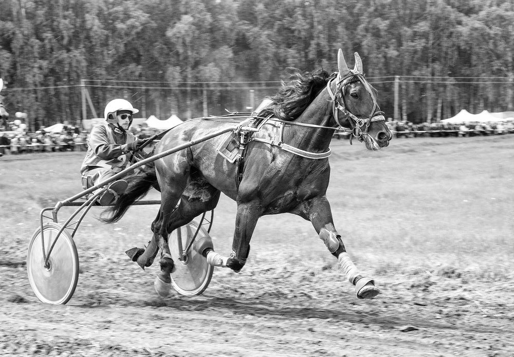 Photograph by Тамара Андреева