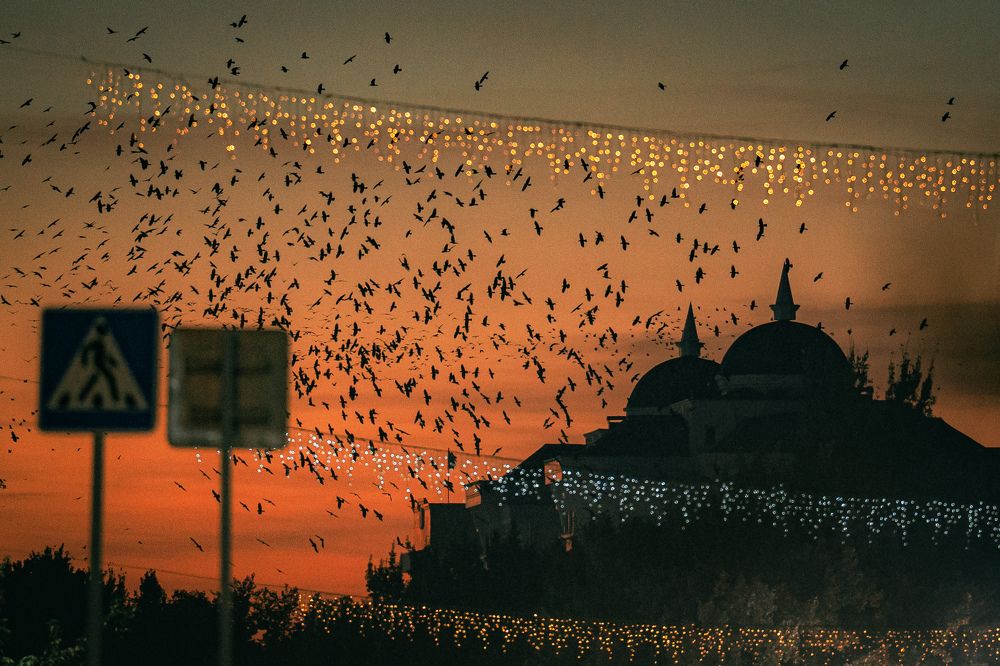 Photograph by Георгий Намазов