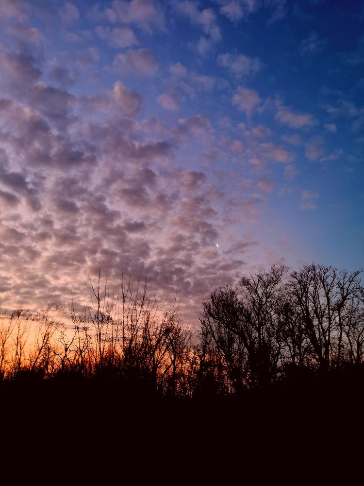 Одинокая луна