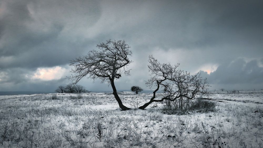 «Графичное»