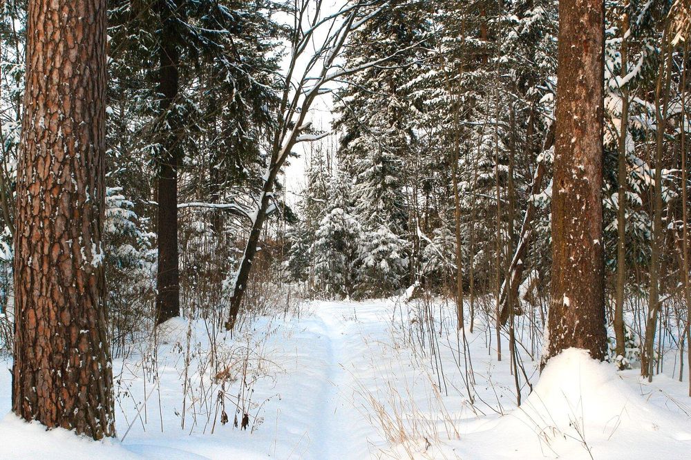 Photograph by Олег Васильев