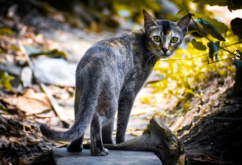 Photograph by Pralay Samanta