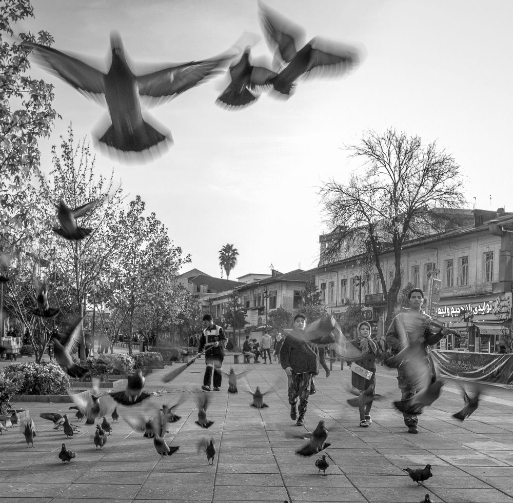 Photograph by sara shafigh