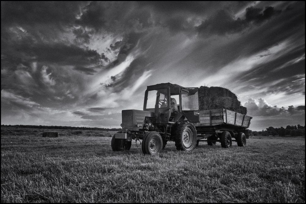 Photograph by Владимир Лосман