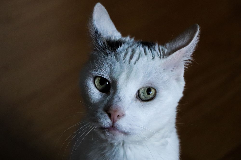 Photograph by George Alexandru Ghiuro