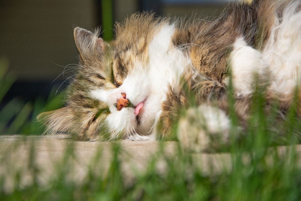 Photograph by Nataly Kiru