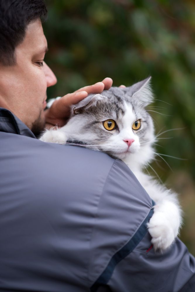 Photograph by Вера Ватаман