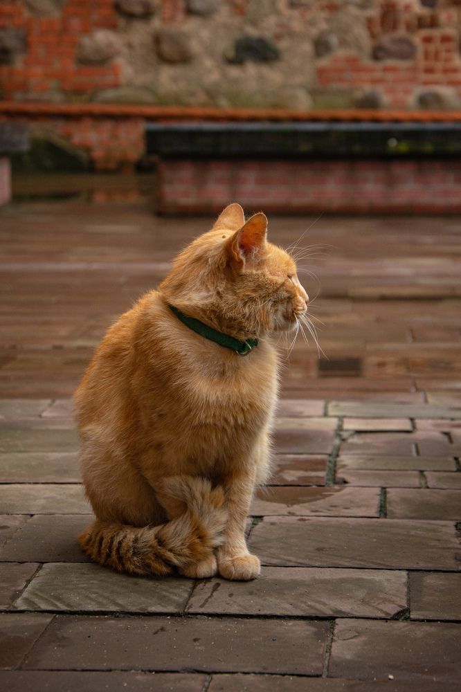 Photograph by Nataly Kiru