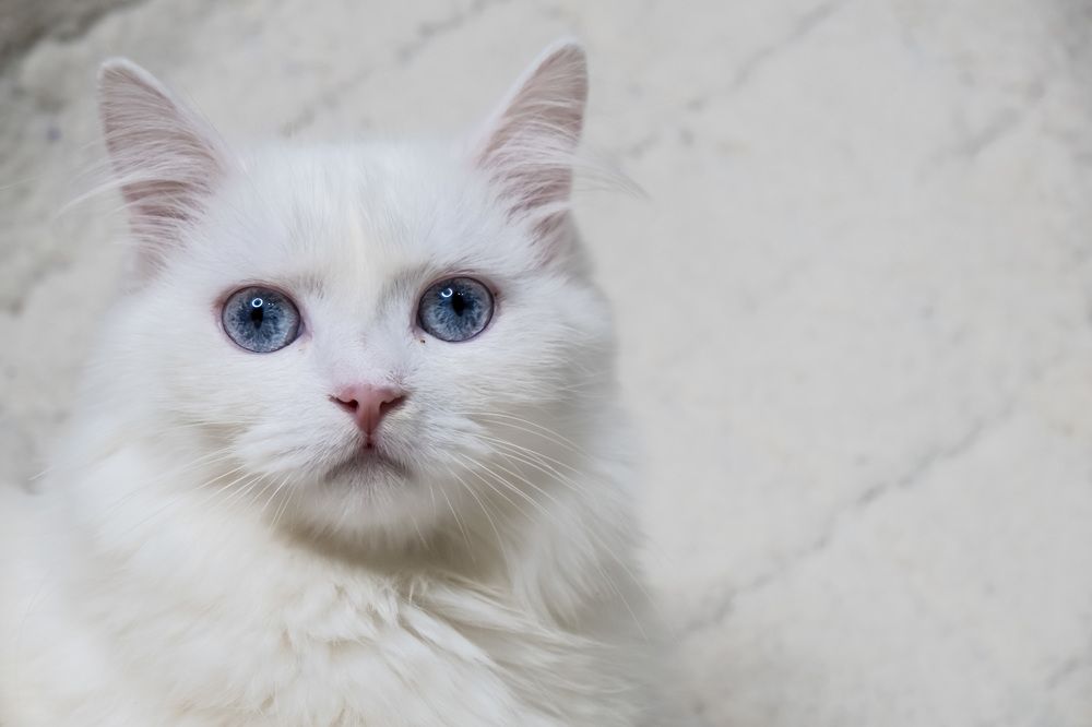 Photograph by Руслан Ибрагимов