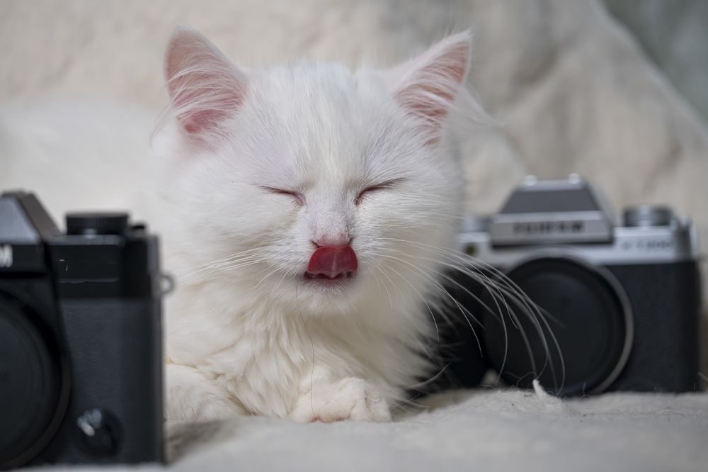 Photograph by Руслан Ибрагимов