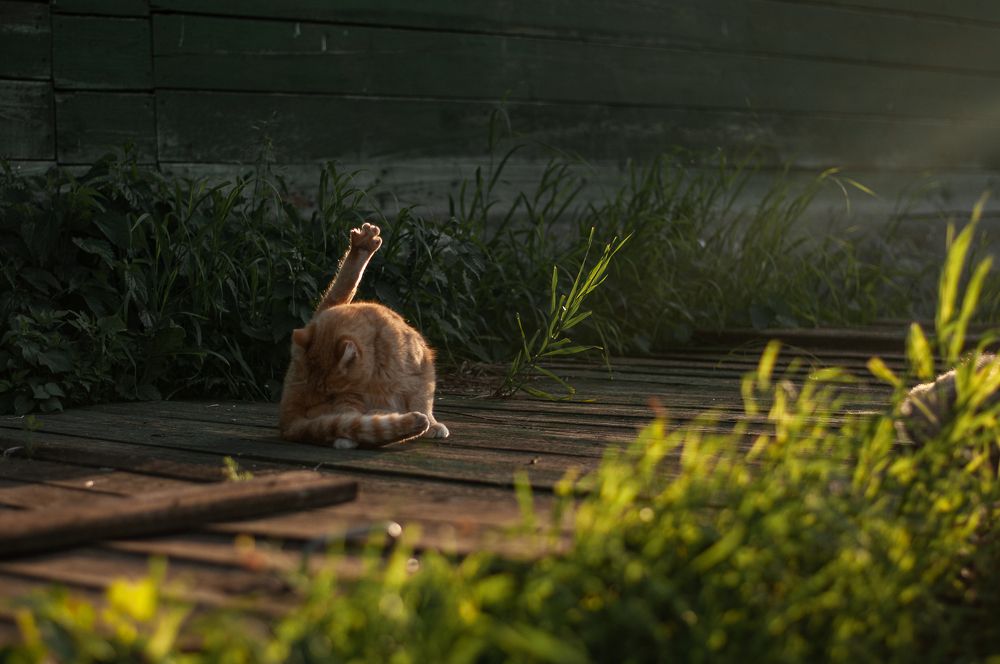 Photograph by Татьяна Зубехина