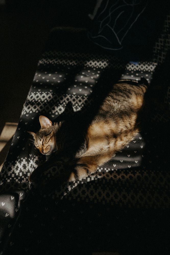 Photograph by Anya Rusnak