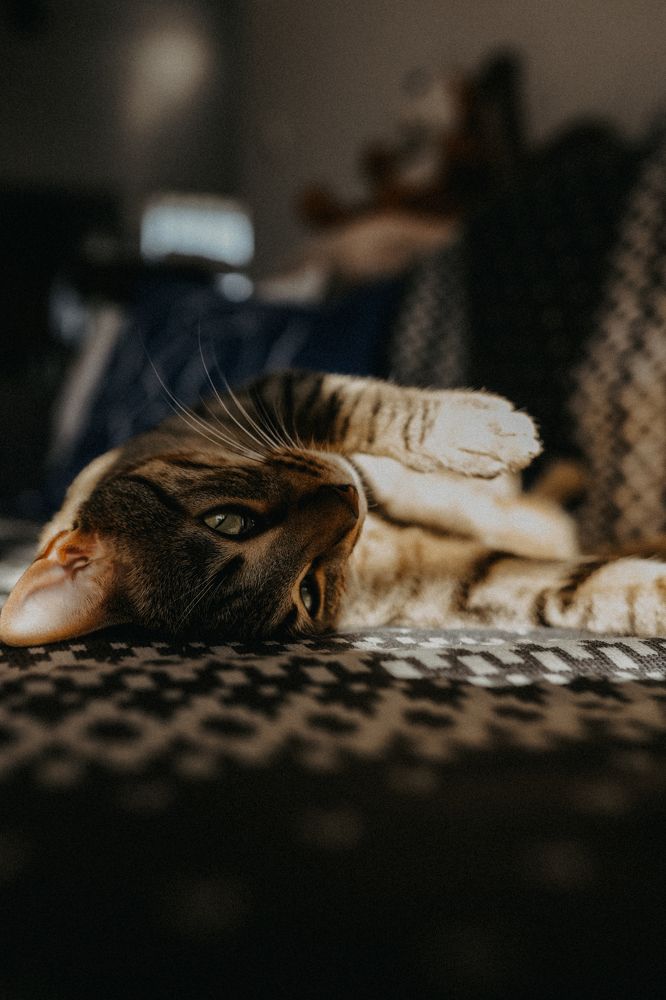 Photograph by Anya Rusnak