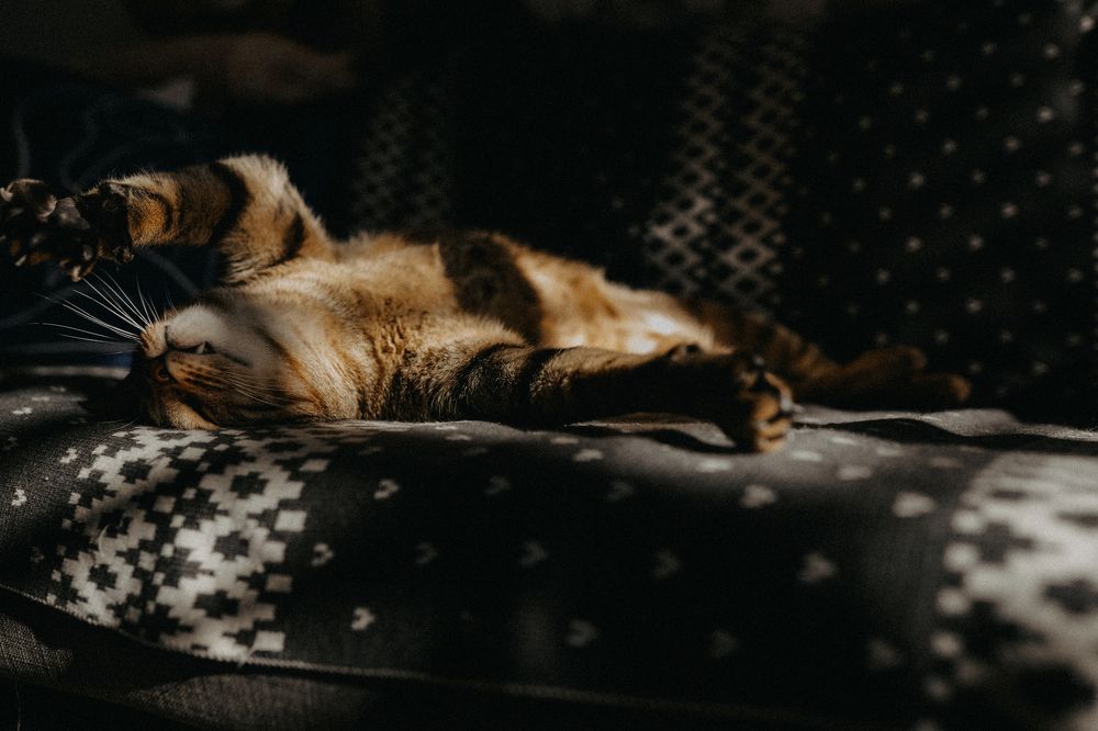 Photograph by Anya Rusnak