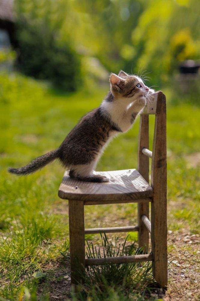 Photograph by Karolina Kozłowska