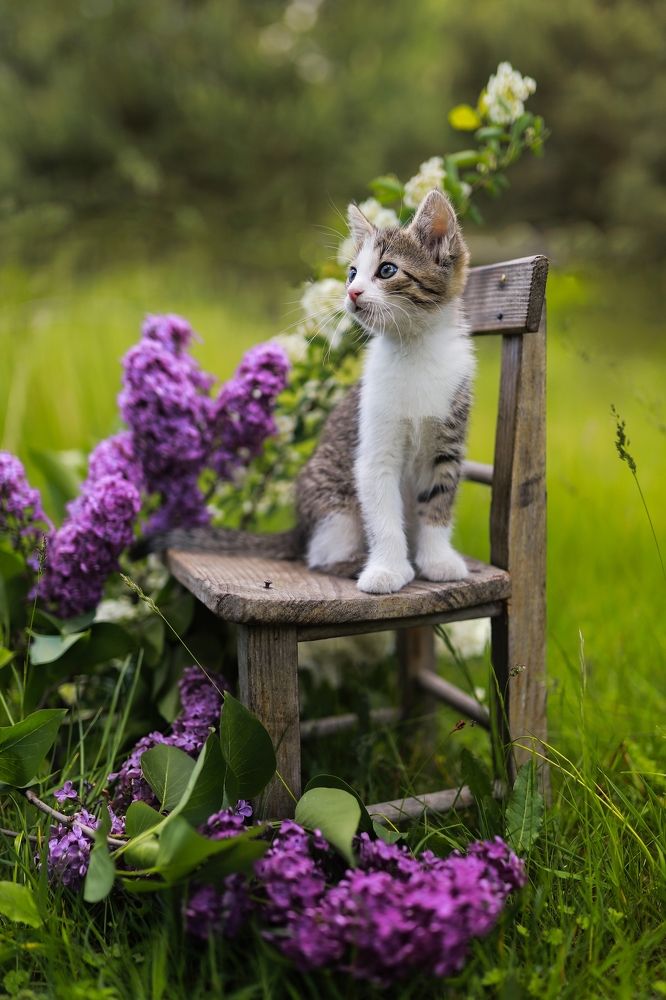 Photograph by Karolina Kozłowska