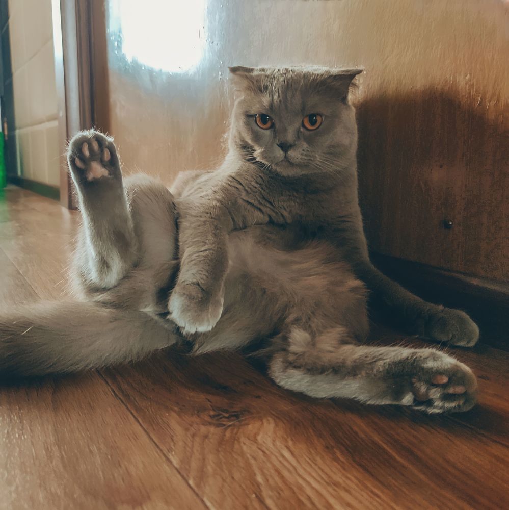 Photograph by Татьяна Радченко