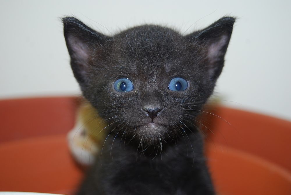 Фотография автора Sajeev Krishnan