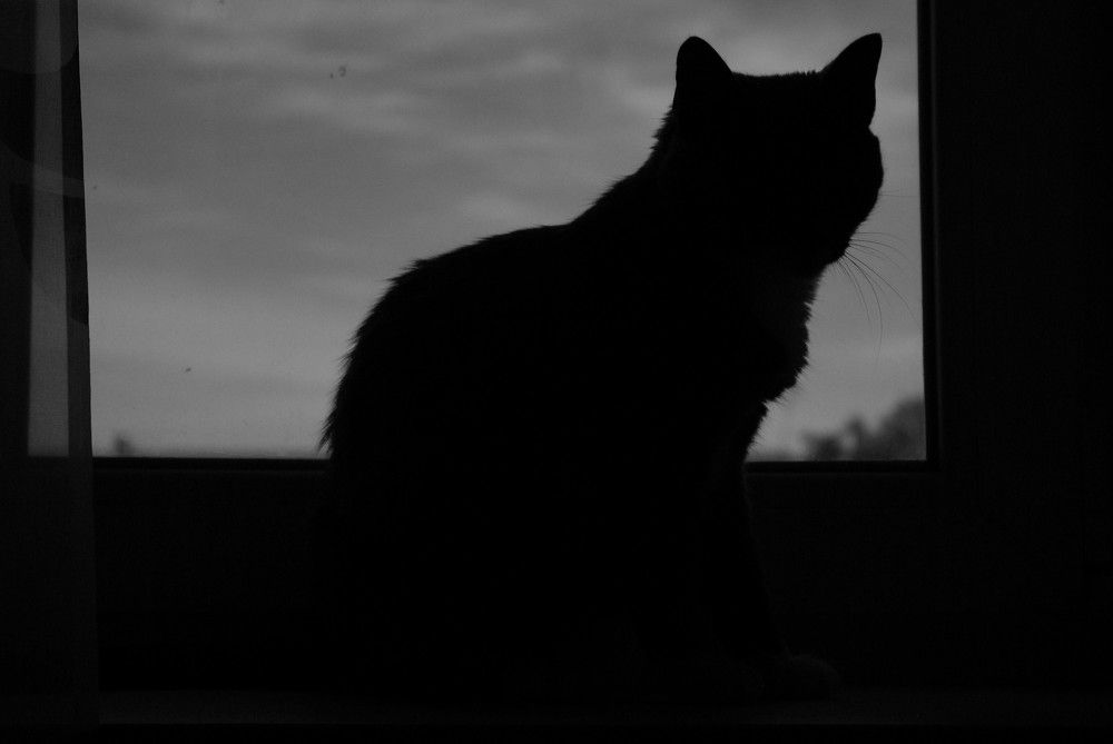 Photograph by Надежда Яковлева