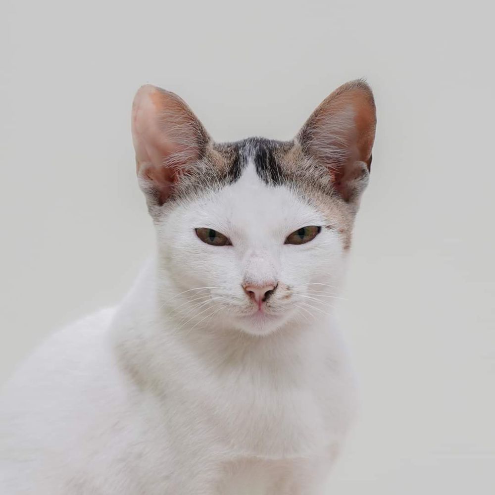 Photograph by Mayukh Roy