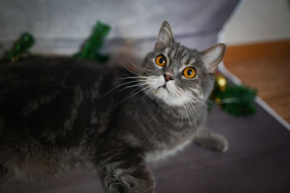 Photograph by Алиса Бочарова