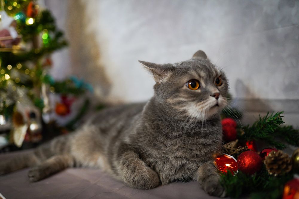 Photograph by Алиса Бочарова