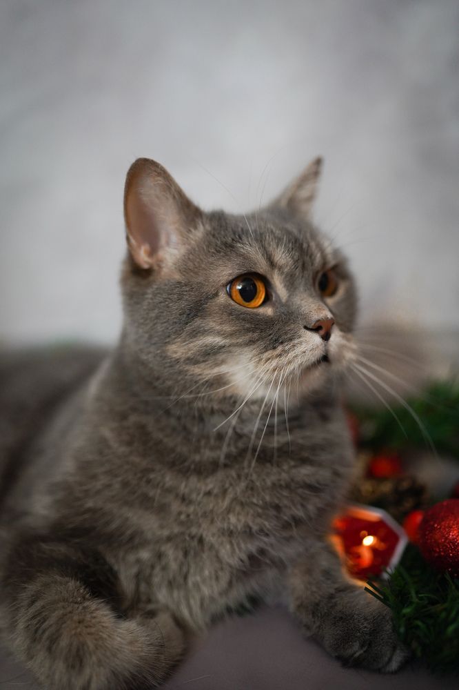 Photograph by Алиса Бочарова