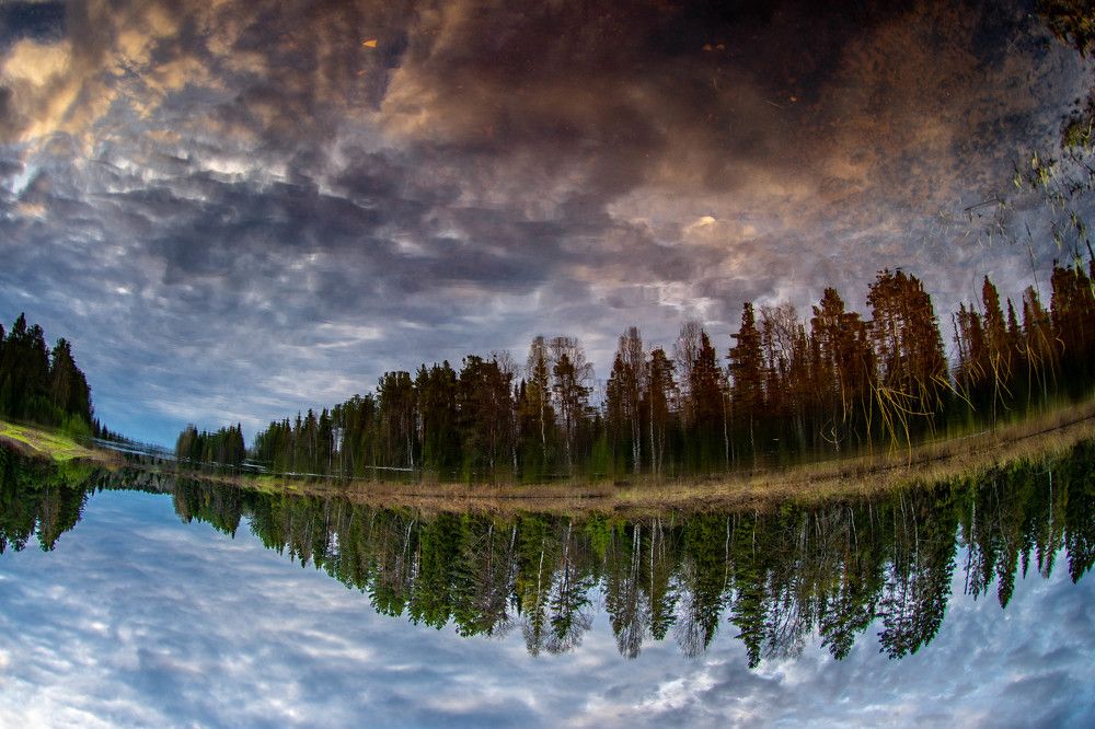 Photograph by Алексей Ильин